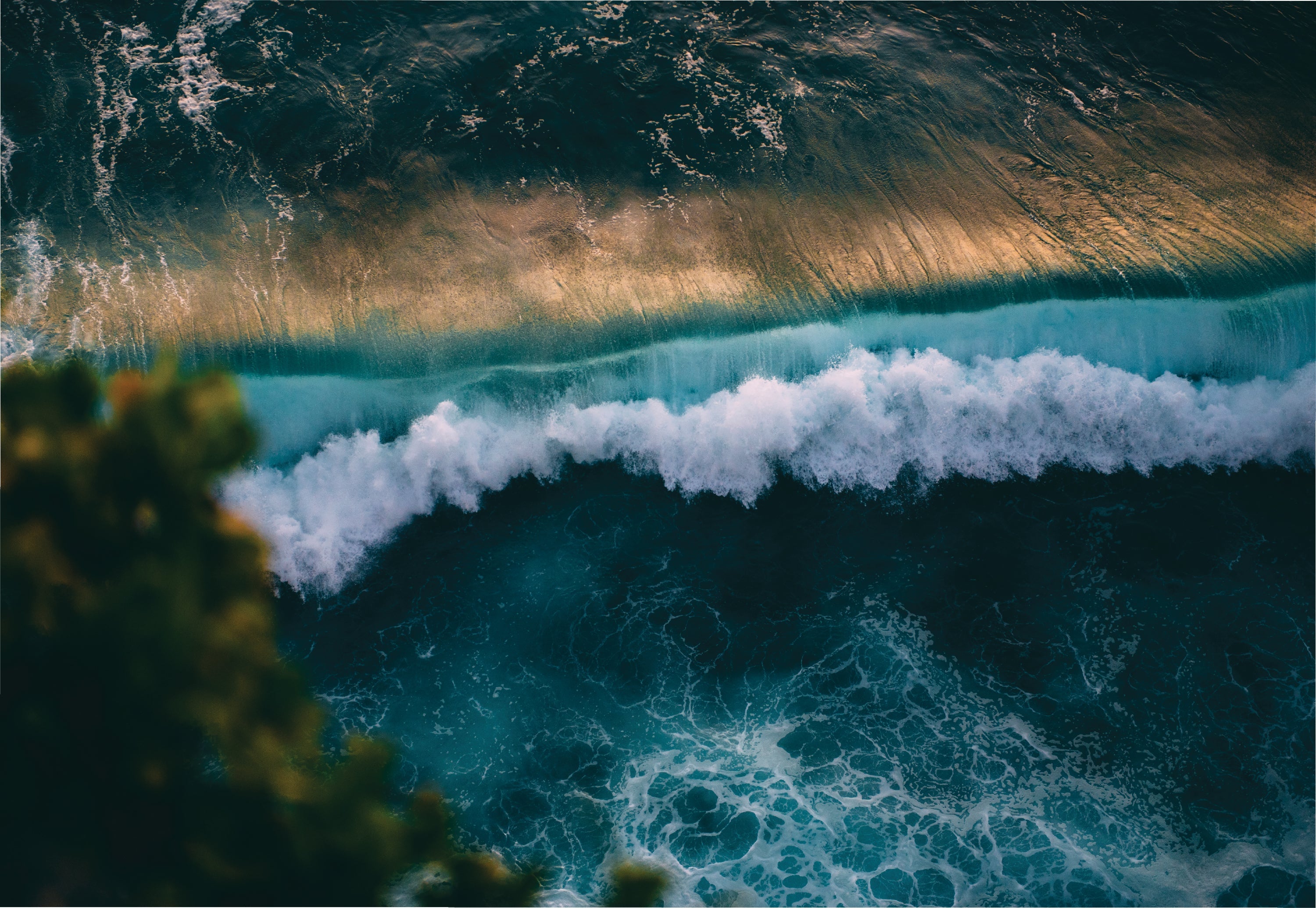 Nikon Summer Cashback 2025