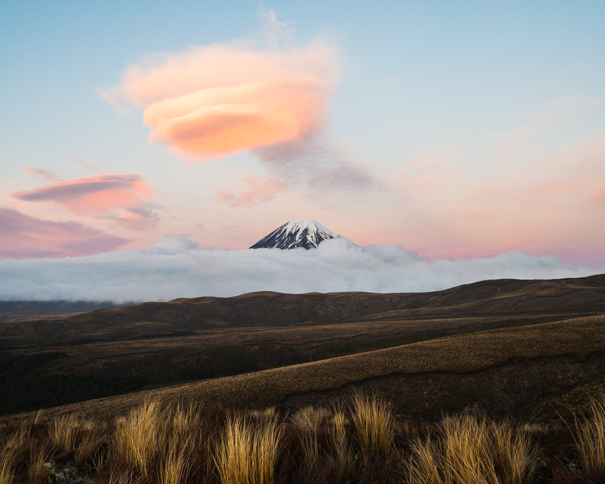 LIVE: Photo Walk & Talk with Richard Young