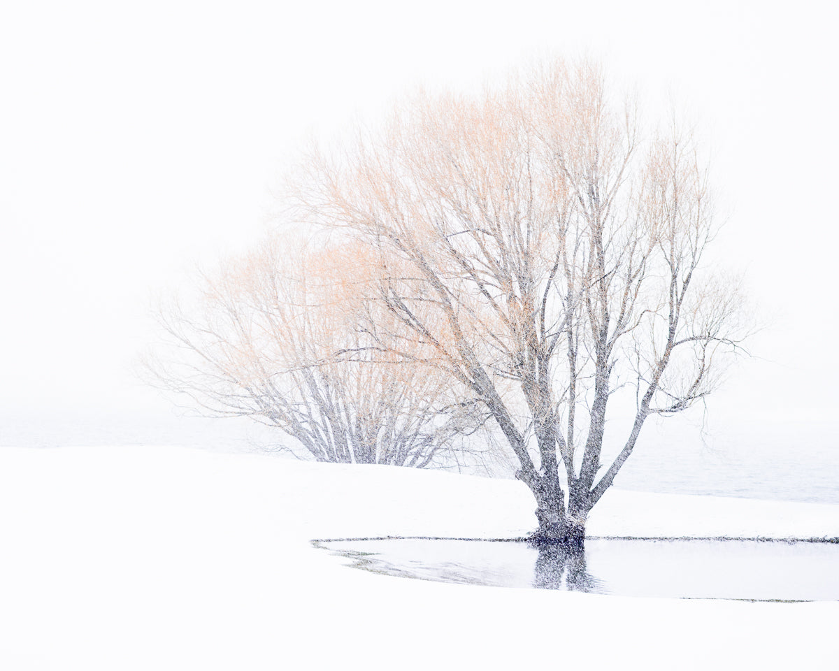 LIVE: Photo Walk & Talk with Richard Young